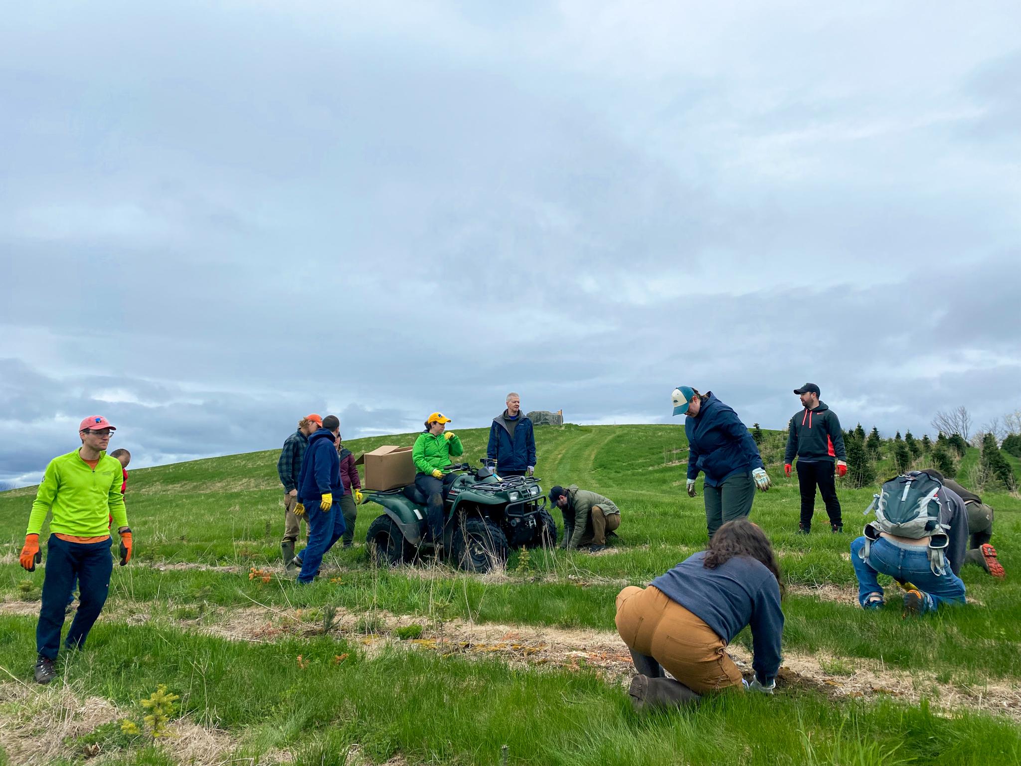 A group of people gather around an ATV while others plant tree seedlings in a row