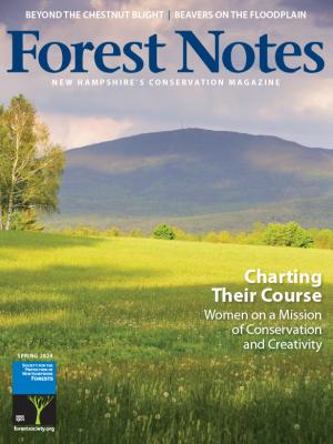 Forest Notes, Spring 2024 Cover