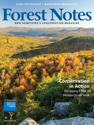 Forest Notes, Fall 2024