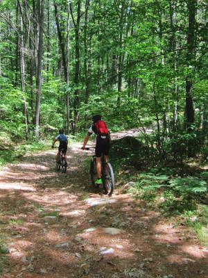 Miles of trails offer recreational opportunities for Manchester area residents