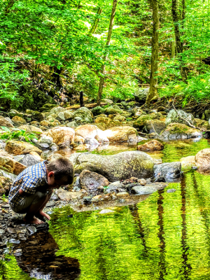 Exploration - Kid by creek at Cockermouth Forest, Groton by Jillian Lynch