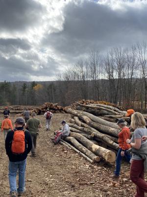 People hiking toward logs piled on timber landing
