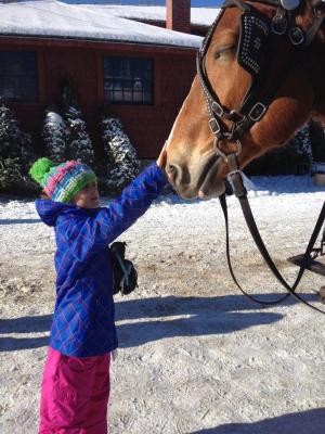   Ella McPhaul, then age 7, greets one of the wagon-pulling horses at The Rocks during Christmas tree season in 2014. In the background is the Electric Plant, which burned to the ground along with the Tool Building.