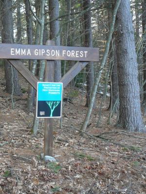 Wooden Gipson Forest property sign