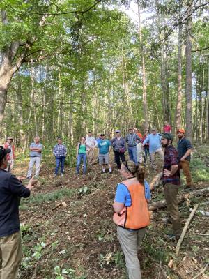 Timber harvest participants view logging and learn from foresters