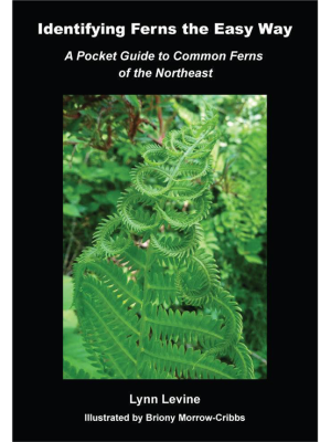 Identifying Ferns the Easy Way by Lynn Levine