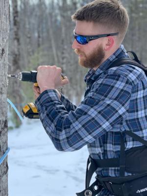 A man drills a tree to prepare to tap it for syrup.
