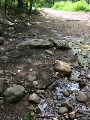The beginning of the Main Trail at Mt. Major is rocky and wet on the ground.