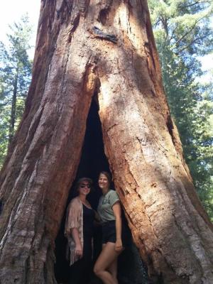 two women stand in the crack of a large tree
