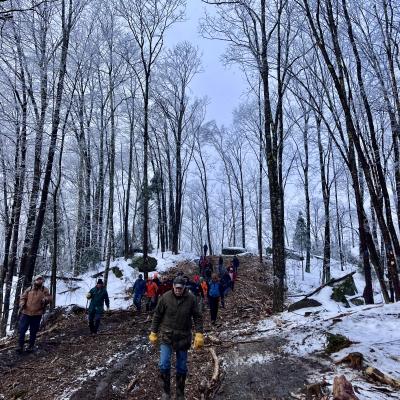 The group descending a skid trail made up of slash