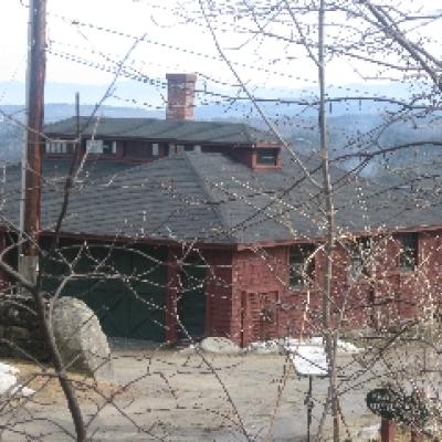 The electric plant as seen through tree branches.