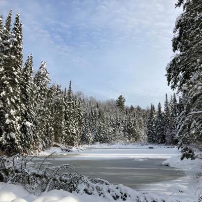 The snow covered Ammonoosuc Forest with a frozen brook at the foreground.