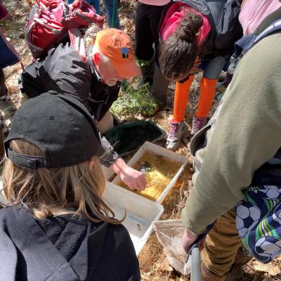 Students look at a container of eggs found in a vernal pool.