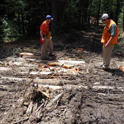 Foresters inspecting a pole ford