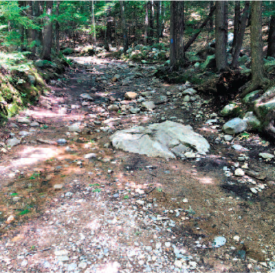 A section of the the Main Trail at Mt. Major is visibly rocky and wet due to erosion.