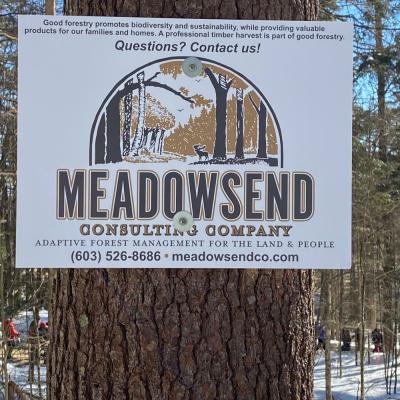Meadowsend Forestry sign on white pine