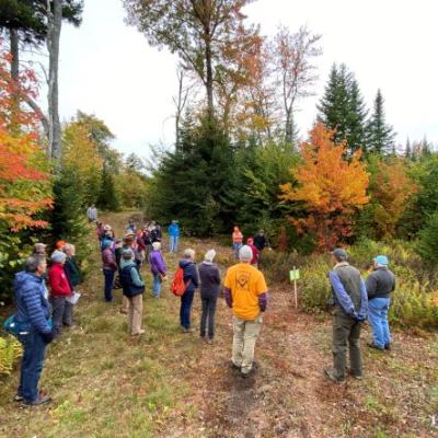 Hikers at Tree Farm field day in colorful clothing amid bright autumn foliage