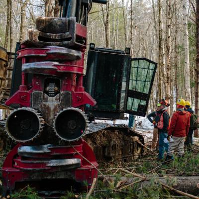 A tour group learning about feller bunchers