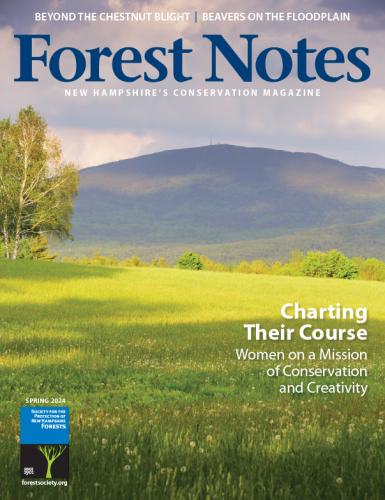 Forest Notes, Spring 2024 Cover