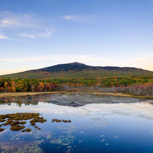 A view of Monadnock in fall with a pond in front.