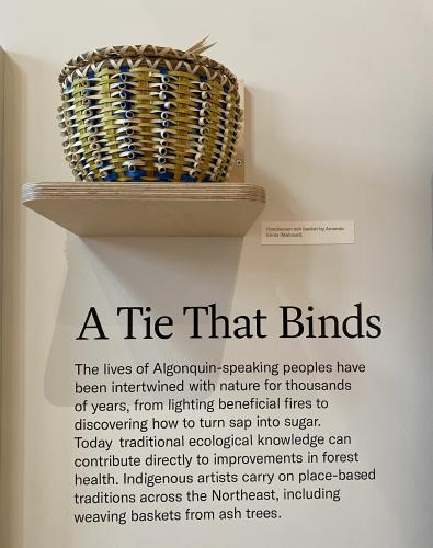 A handwoven basket made by Amanda Ennis is on display.