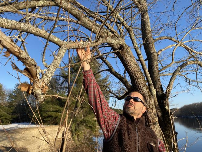 Man in long sleeves and sunglasses reaches up to touch an overhanging tree branch
