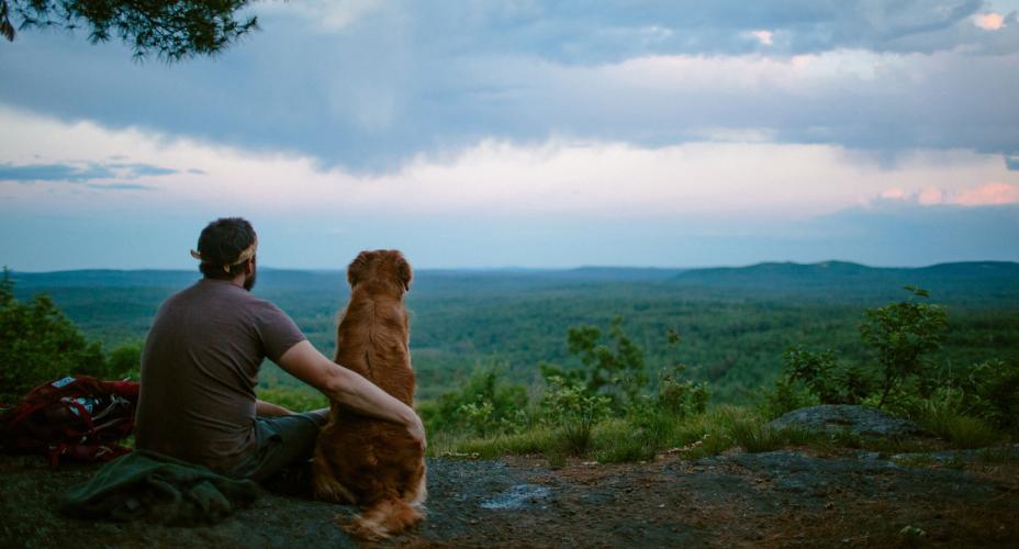 A hiker and dog look out at passing summer thunderstorms