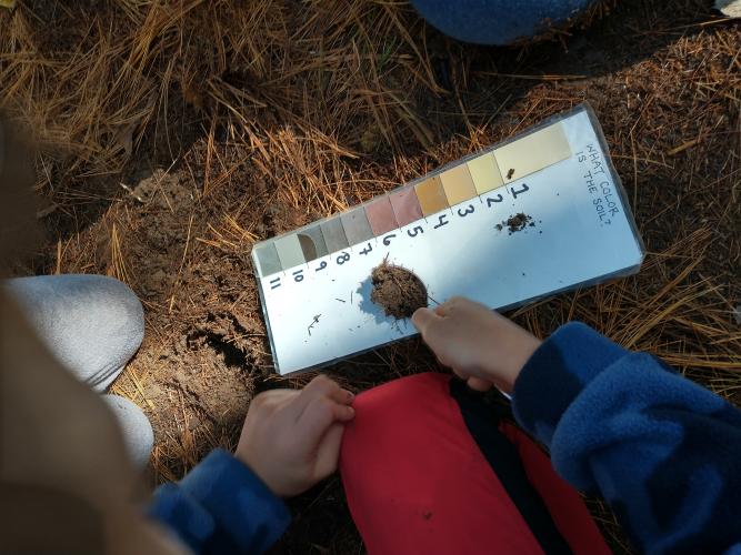 students look at soil samples