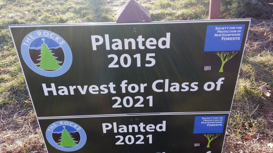 A sign shows where trees planted in 2015 are growing.