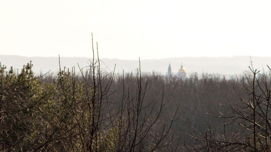 NH Gold Capitol Dome and church steeple in mist surrounded by bare tree tops