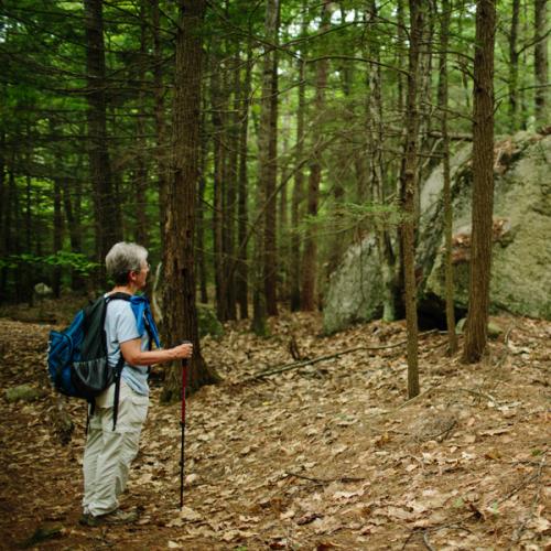 Hiker takes in the view of large boulders on the trail