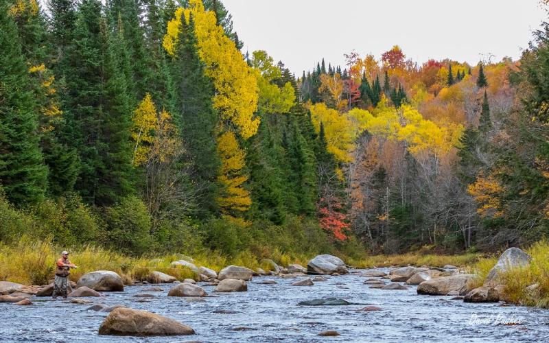 A fly fisherman casts into the Ammonoosuc River, surrounded by vivid fall foliage.