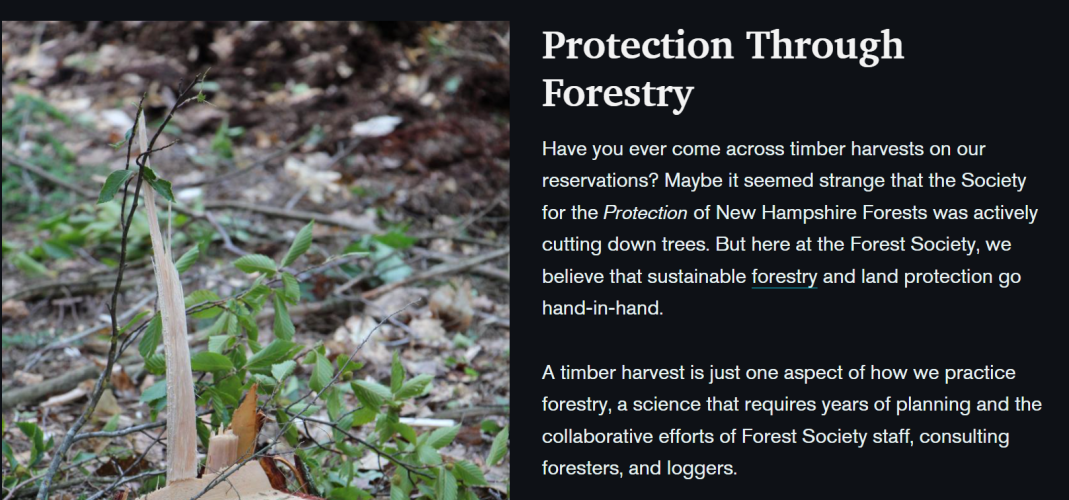 A preview of a StoryMap with a photo of recently cut stump that says "Protection through Forestry."
