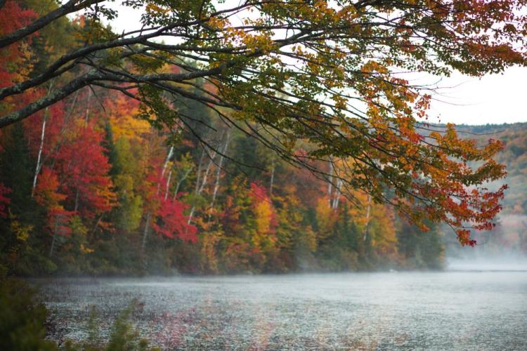 Scarlet red maples accent fall foliage above morning fog rising from Elbow Pond in the White Mountain National Forest. Photo by Emily Lord