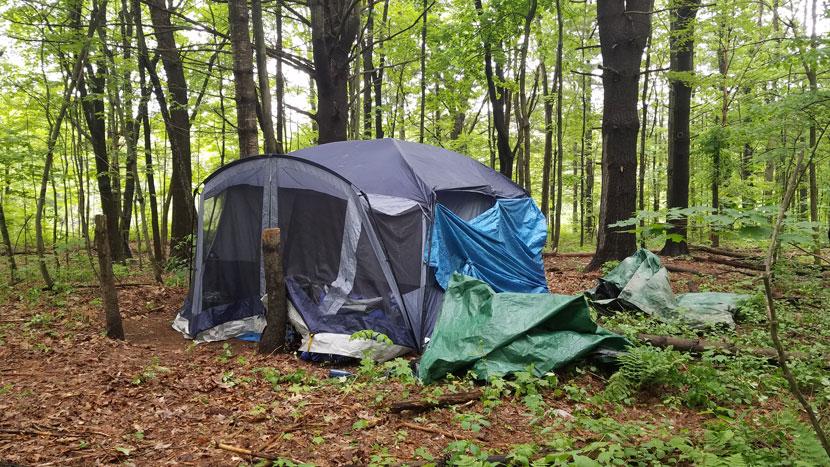 Homeless campsite in the woods in Concord