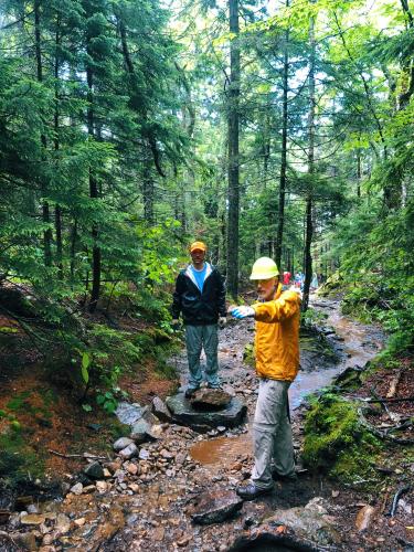 Remember When Rain Was Fun? | Forest Society