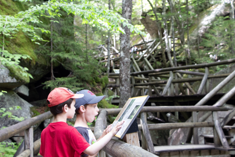 A young child and his sibling looked surprised while reading a info panel at Lost River Gorge.