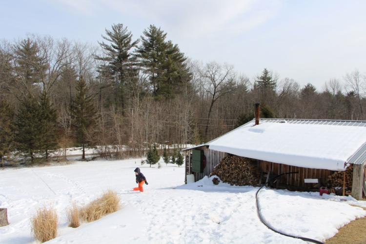A boy walks up a sledding hill next to a sugarhouse and stacked wood.