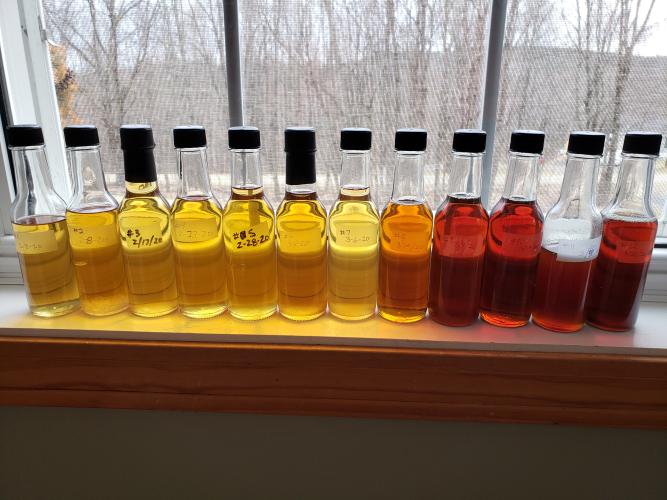 Bottles of maple syrup sit on a window showing the progression of syrup grades as sugar season progresses.