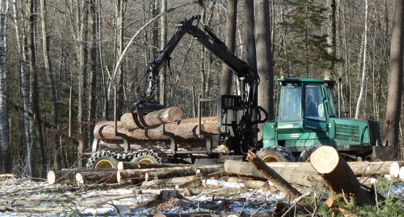 Forwarder in action sustainable forestry in New Hampshire