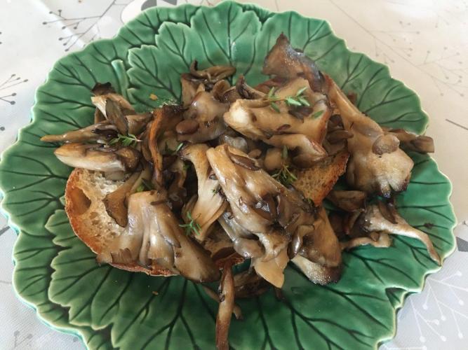 Cooked Hen of the Woods mushroom on toast