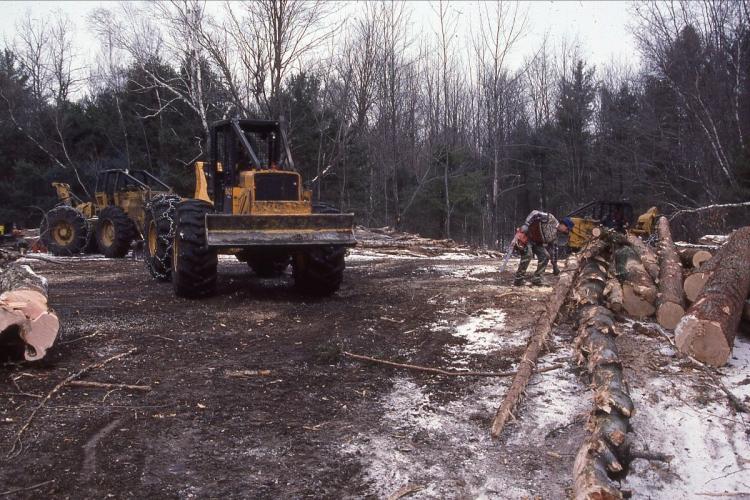 Timber harvest landing skidder and pile of logs.
