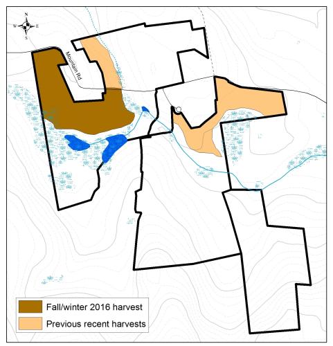 Whittemore Reservation timber harvest map fall 2016