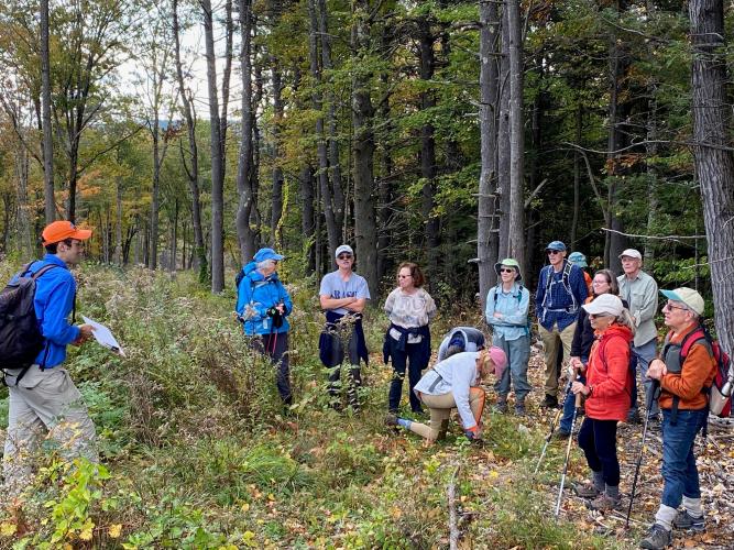Colorful attire of Forest Society hiking group survey the edge of white pine woods on right side overlooking a clearing of dry goldenrod on left side managed for insect pollinators