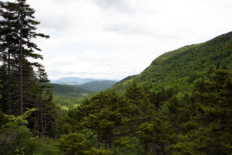 A view from Lost River Reservation toward the mountains in summer.