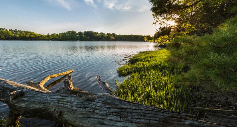 Emery Farm conservation project protects 2,500 feet of tidal frontage on the Oyster River and Smith Creek in Durham, New Hampshire