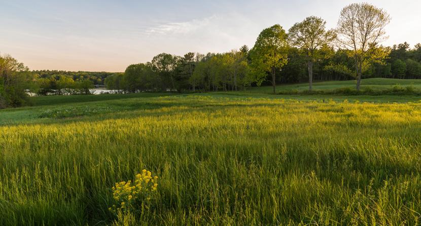 Farm field and forest under conservation in New Hampshire