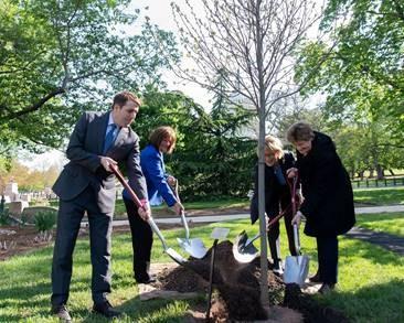 NH state representatives filling in soil around a new tree