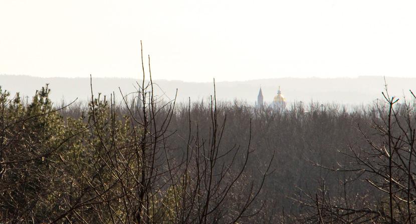 Treetop view of NH State House dome in mist from a distance