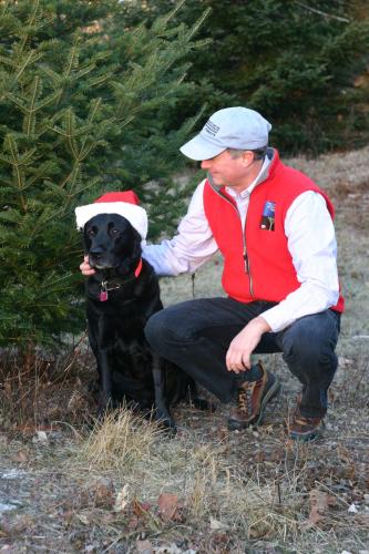 Dog and Christmas Tree